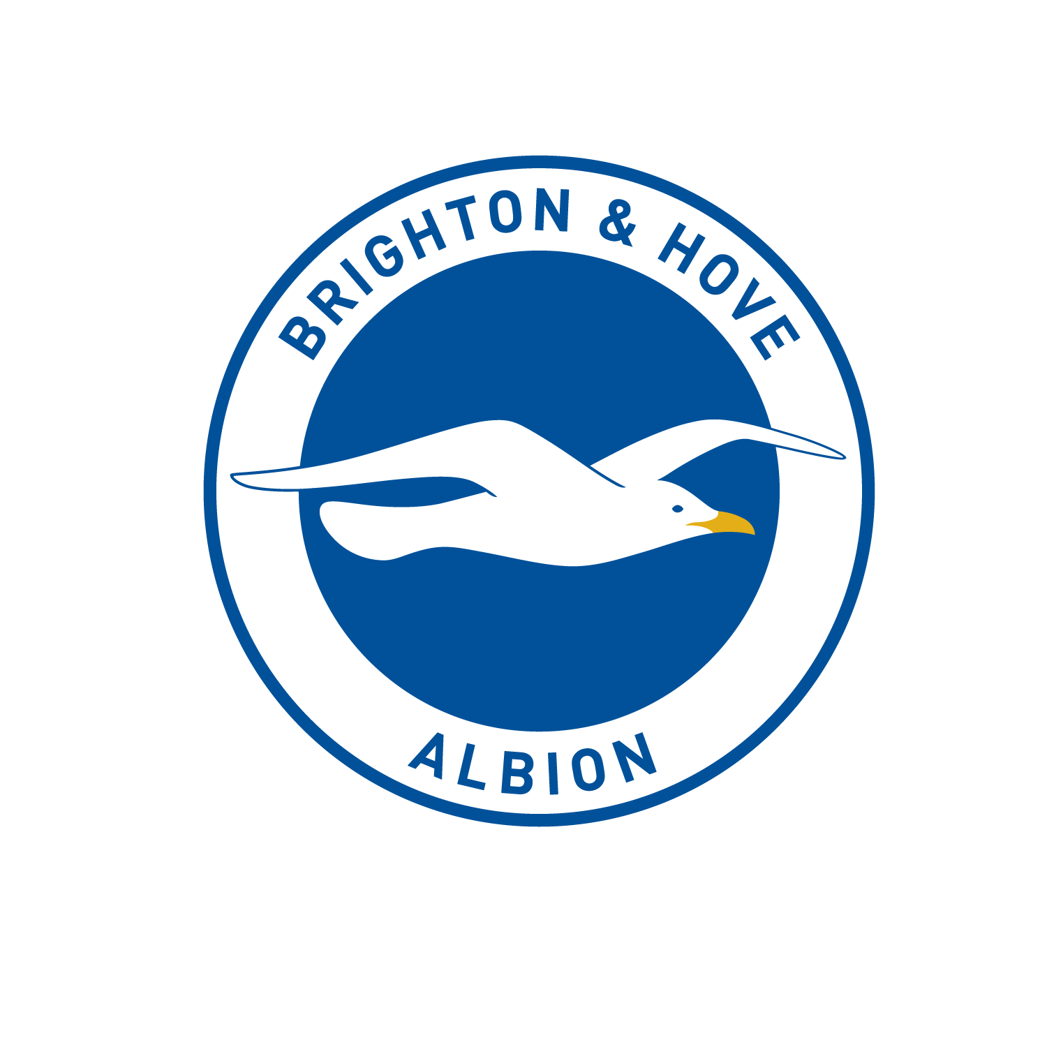 Brighton & Hove Albion