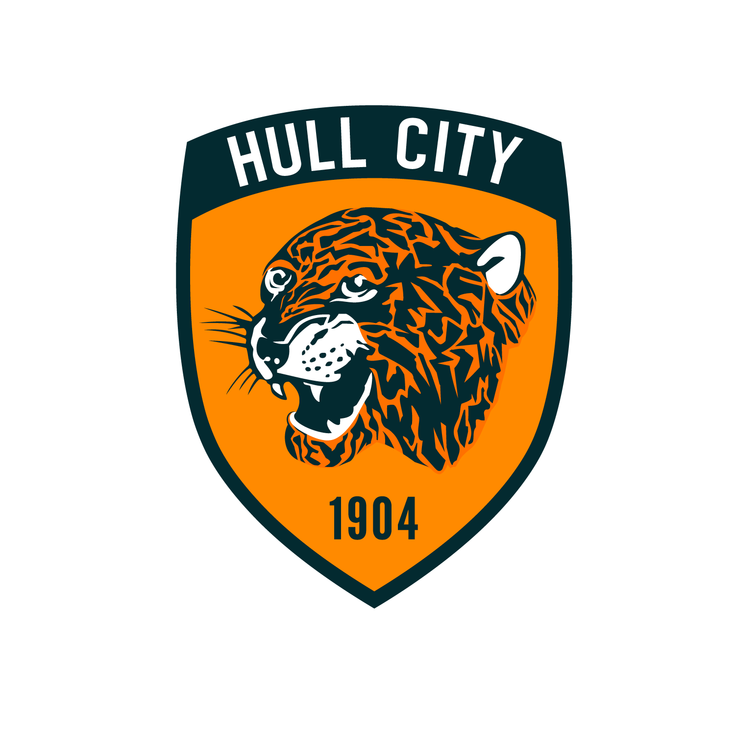 Hull City